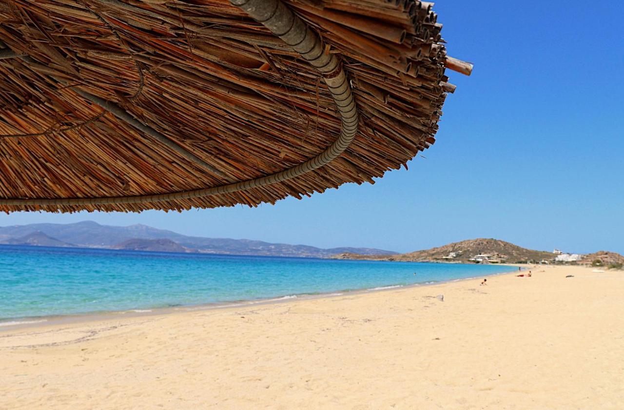 Beach Apartment Thalia With Hot Tub And Sea View Agios Prokopios  Exterior photo